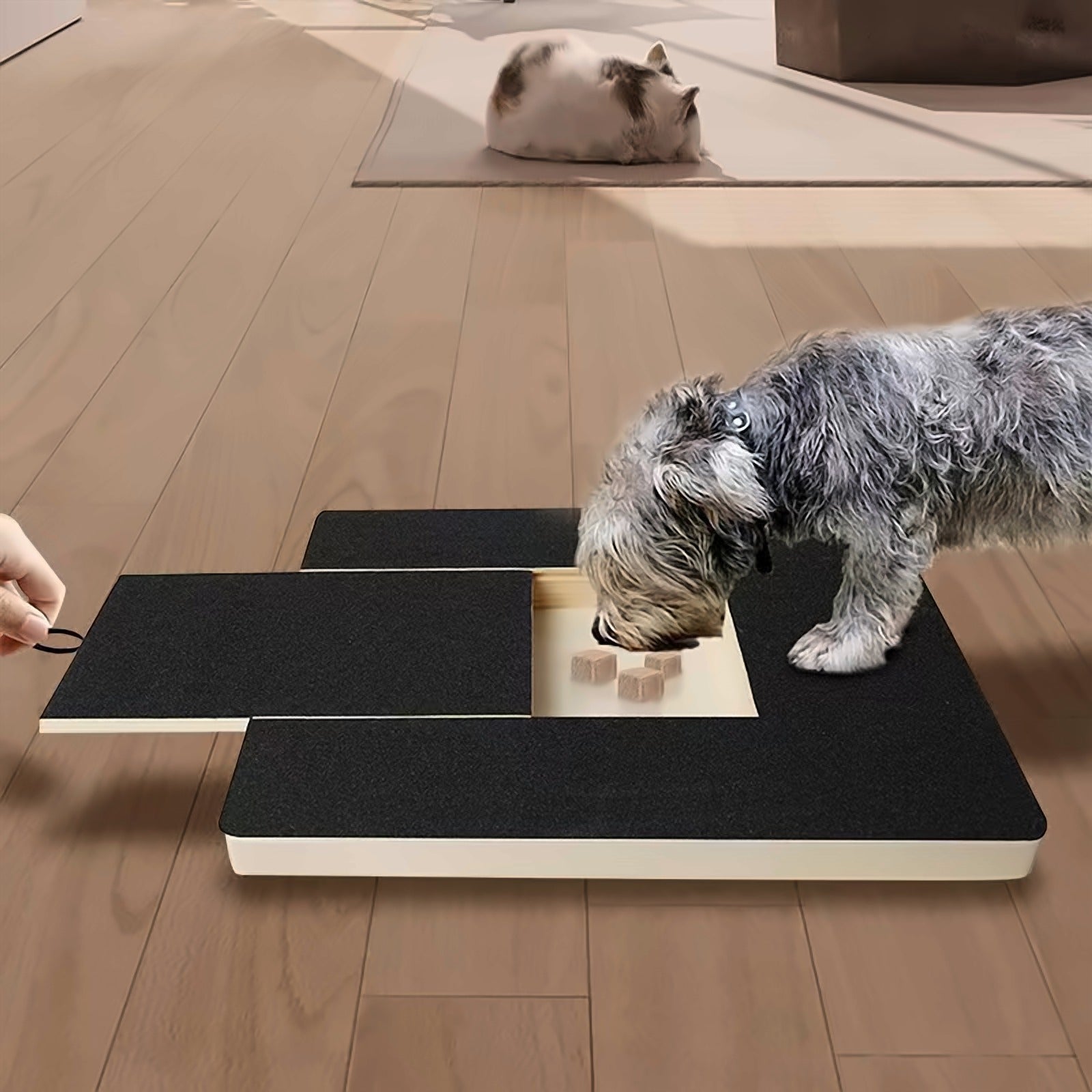 Dog filing its nails on the PawFile scratch board while taking treats from the built-in treat box