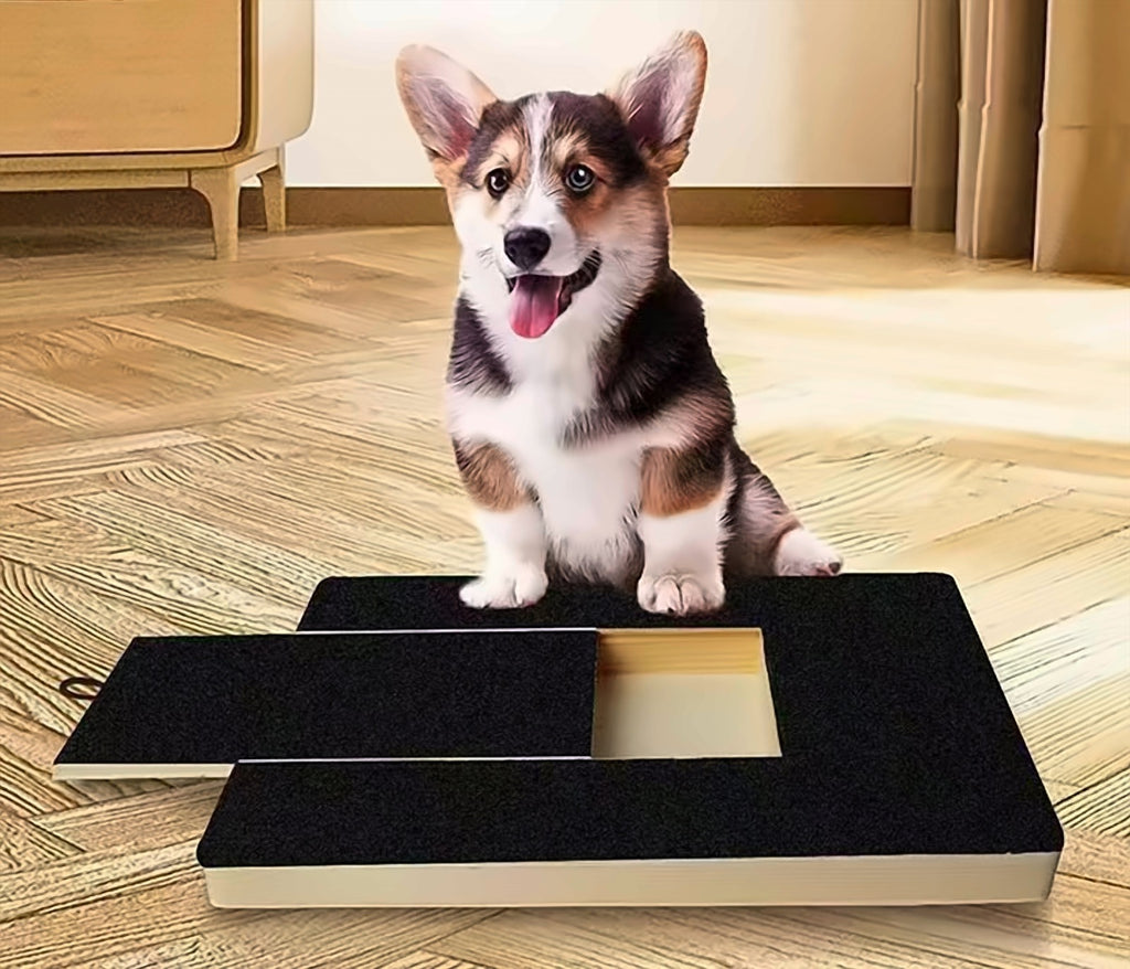 Corgi puppy sitting behind the PawFile scratch board